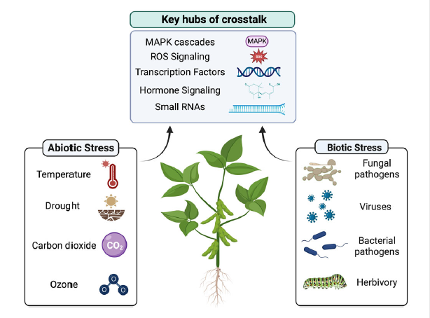 Crosstalk and trade-offs: Plant responses to climate change-associated abiotic and biotic stress